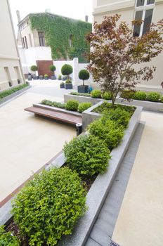 Beautifully maintained decorative plants on display in the garden