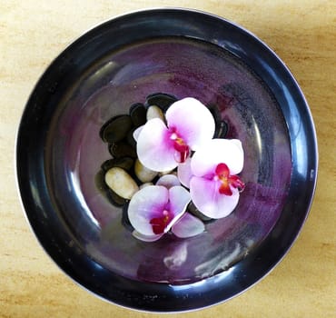 Close up view on pink flowers in a plate