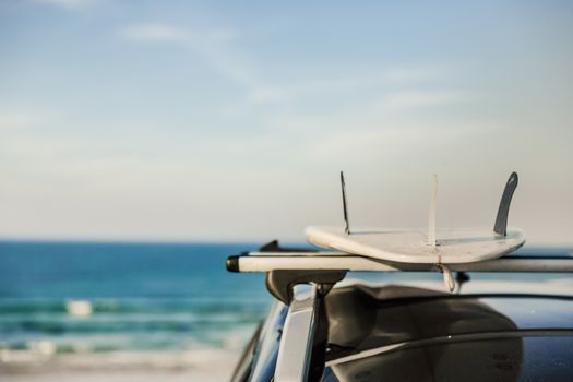 Cropped shot of surfboards over the roof of the car