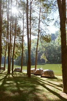 Pang Tong Under Royal Forest Park ( Pang ung ) at Mae Hong Son Province,Thailand. Pang Ung is a popular place to stay in a camping in the winter.