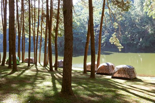 Pang Tong Under Royal Forest Park ( Pang ung ) at Mae Hong Son Province,Thailand. Pang Ung is a popular place to stay in a camping in the winter.