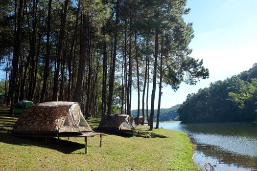 Pang Tong Under Royal Forest Park ( Pang ung ) at Mae Hong Son Province,Thailand. Pang Ung is a popular place to stay in a camping in the winter.