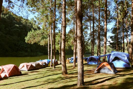Pang Tong Under Royal Forest Park ( Pang ung ) at Mae Hong Son Province,Thailand. Pang Ung is a popular place to stay in a camping in the winter.
