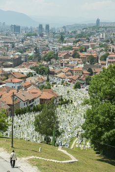 view of the Muslim cemetery of Sarajevo