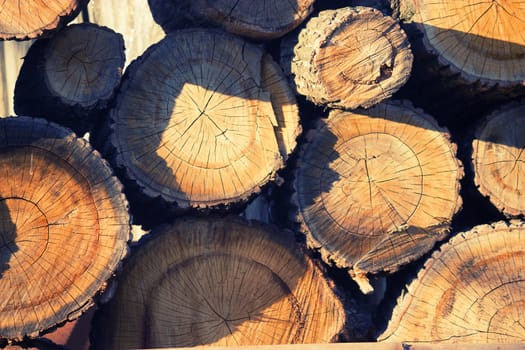 closeup of chopped firewood in warm sunlight