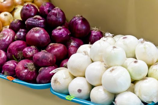 White and violet onion in marketplace counter with prices