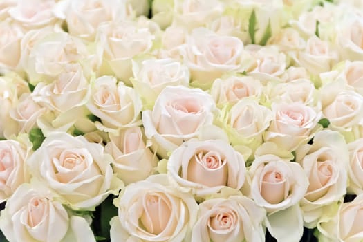 Background of white roses bouquet in marketplace