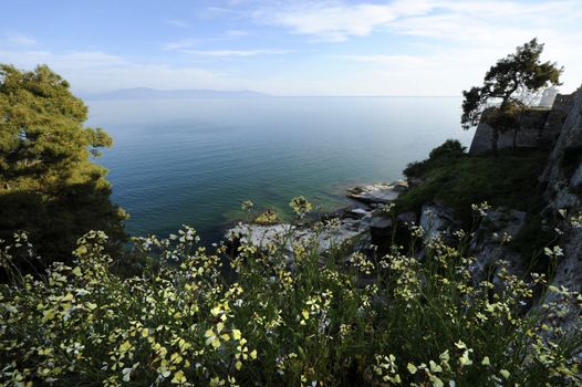 Landscape of seaside with green plants and blue sky