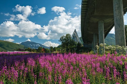 Arctic Cathedral and bridge in Tromso under a blue sky and white clouds, Norway