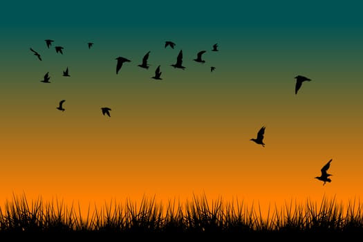 Field of grass and silhouettes of flying birds at sunrise