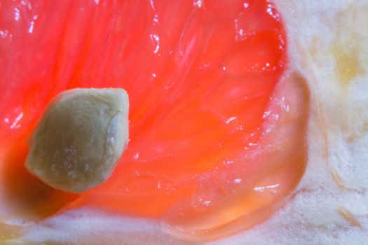 grapefruit close-up macro photo of citrus fruits