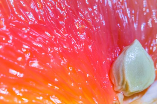 grapefruit close-up macro photo of citrus fruits
