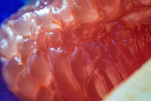 grapefruit close-up macro photo of citrus fruits