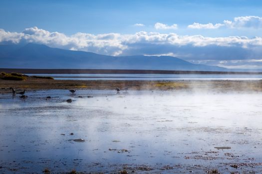 Lake in sol de manana geothermal field, sud Lipez reserva Eduardo Avaroa, Bolivia