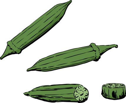 Whole and cross-section view of okra pod over white background