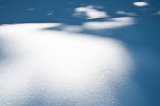 shadow of the trees showed on the snow surface