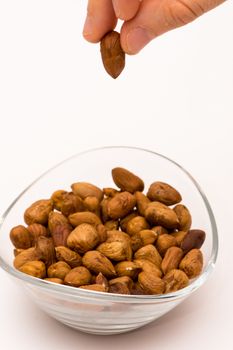 person droping pealed hazelnuts to the glass bowl