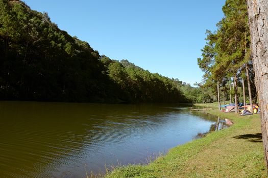 Pang Tong Under Royal Forest Park ( Pang ung ) at Mae Hong Son Province,Thailand. Pang Ung is a popular place to stay in a camping in the winter.