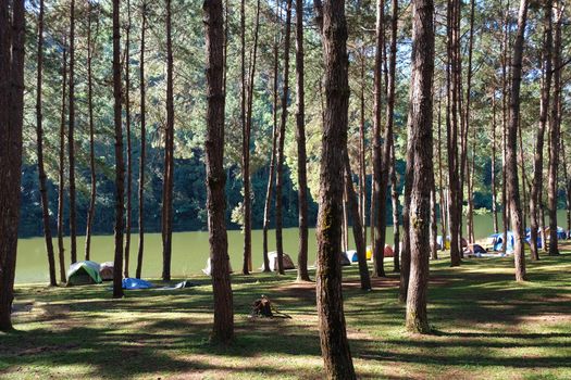 Pang Tong Under Royal Forest Park ( Pang ung ) at Mae Hong Son Province,Thailand. Pang Ung is a popular place to stay in a camping in the winter.