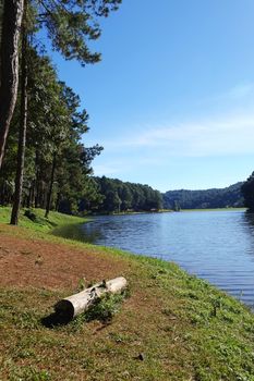 Pang Tong Under Royal Forest Park ( Pang ung ) at Mae Hong Son Province,Thailand. Pang Ung is a popular place to stay in a camping in the winter.