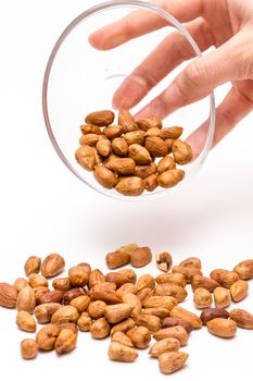 person droping pealed hazelnuts out of th bowl