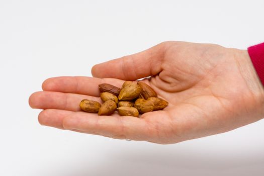 Person holding pealed hazelnuts in the hand