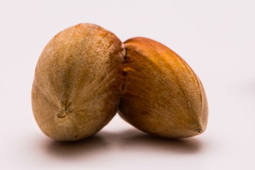 Macro shoot of unpealed dual hazelnut on white backgound