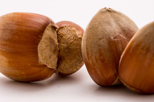 Macro shoot of unpealed dual hazelnut on white backgound