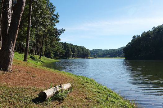 Pang Tong Under Royal Forest Park ( Pang ung ) at Mae Hong Son Province,Thailand. Pang Ung is a popular place to stay in a camping in the winter.