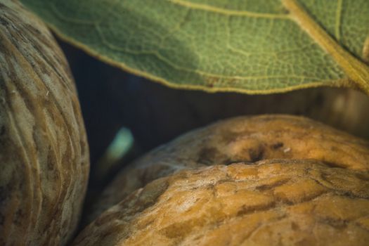 walnuts closeup healthy food food for health