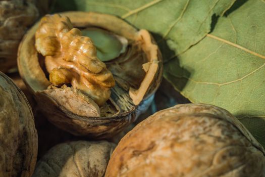 half walnut close-up photo sheets with health nuts