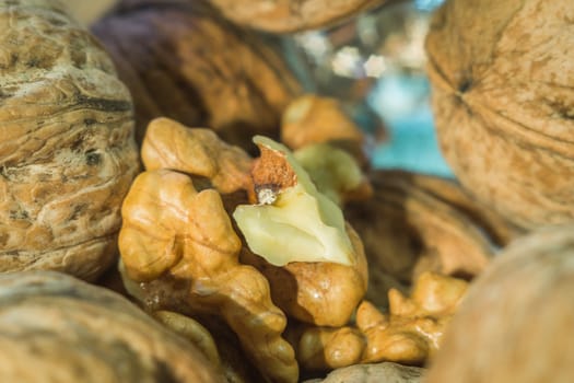 peeled walnut close macro photo of beautiful colors