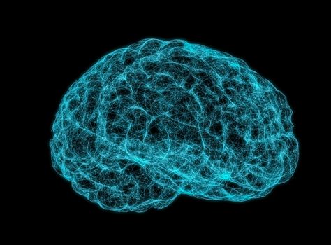 X-ray image of human brain on dark background. 3D Illustration