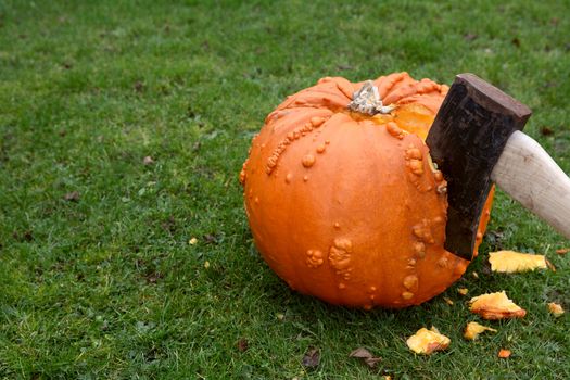 Axe hacks into a large orange pumpkin, with pieces of flesh on green grass - with copy space