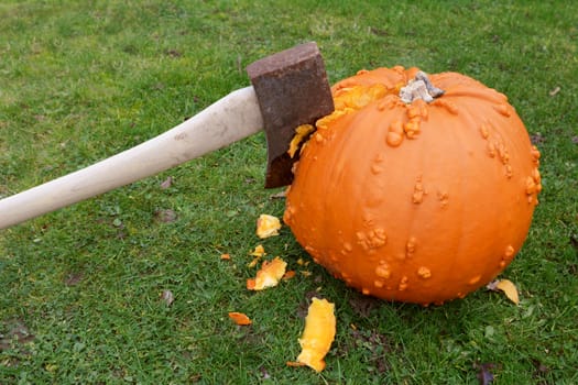 Long-handled axe cuts roughly into a warty orange pumpkin on a lush lawn