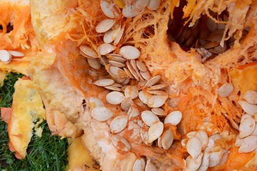 Numerous oval pumpkin seeds among stringy flesh inside a large orange pumpkin, on grass