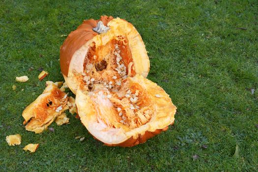 Large warty-skinned pumpkin, roughly hacked into two halves on grass, with copy space