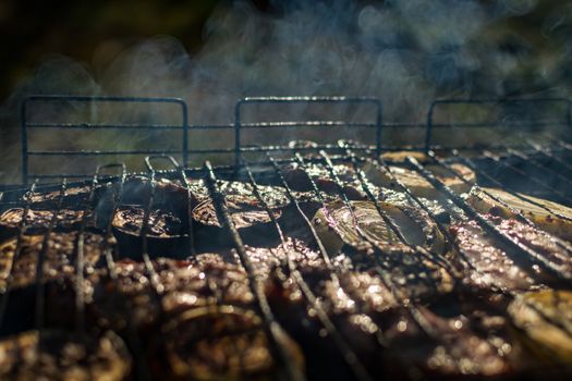 barbecue camping kebab with vegetables summer vacation