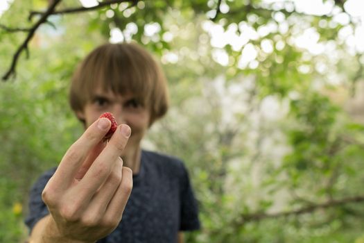 berries in hand, strawberries in the hands of young men