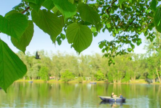 Park people boating lake flying bird summer