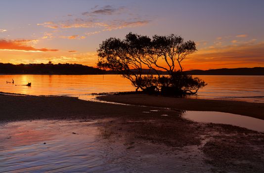 Beautiful sunset colours on the tidal flats of Salamander Bay