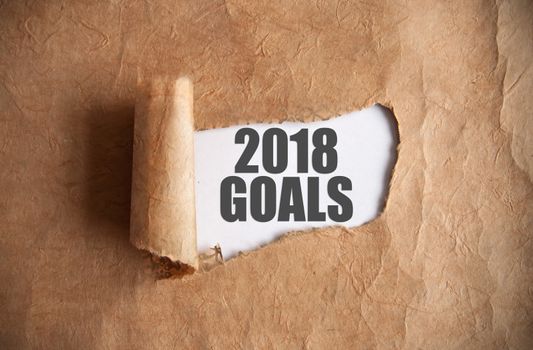 Torn piece of scroll uncovering 2018 goals