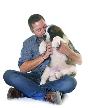puppy saint bernard and his owner in front of white background