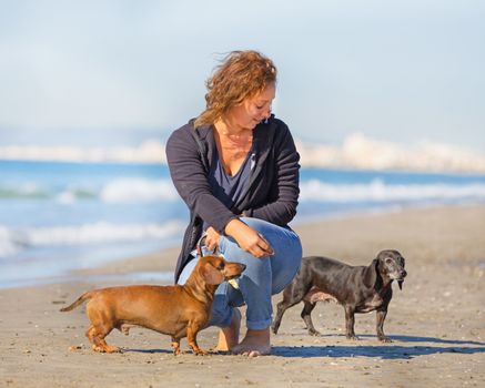 dogs and woman on the beach in september