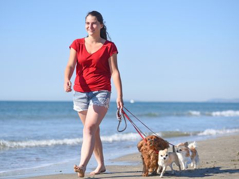 woman and dogs walking on the beach