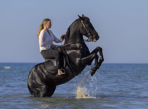 horsewoman and her horse on the beach