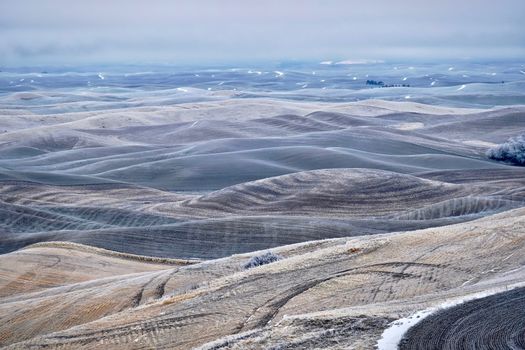 Abstract design formed by shadows on fields and lines of plowed field with crops. Moscow. Yakima. Spokane. Washington. United States of America.