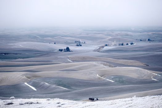 Rolling hills covered with frost and snow in winter. Foggy morning soft light on the farmlands in agricultural Palouse, southeast Washington. Moscow, Idaho. USA.