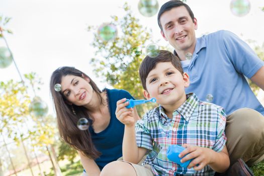 Young Boy Blowing Bubbles with His Parents in the Park.