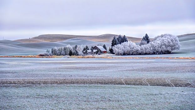 Palouse. Southeast Washington. United States of America.